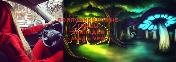 мескалин Заводоуковск