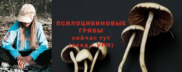 спиды Заволжск