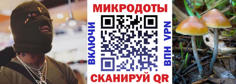 Галлюциногенные грибы Psilocybine cubensis  Купить закладки  Снежногорск 